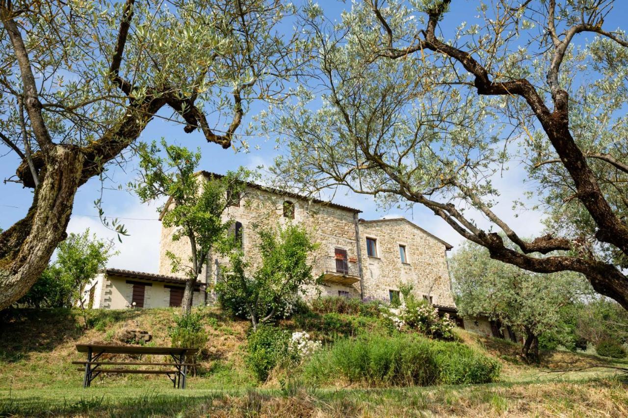 Limigiano Villa Colle Di Rocco מראה חיצוני תמונה