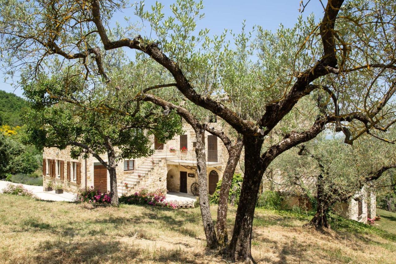 Limigiano Villa Colle Di Rocco מראה חיצוני תמונה