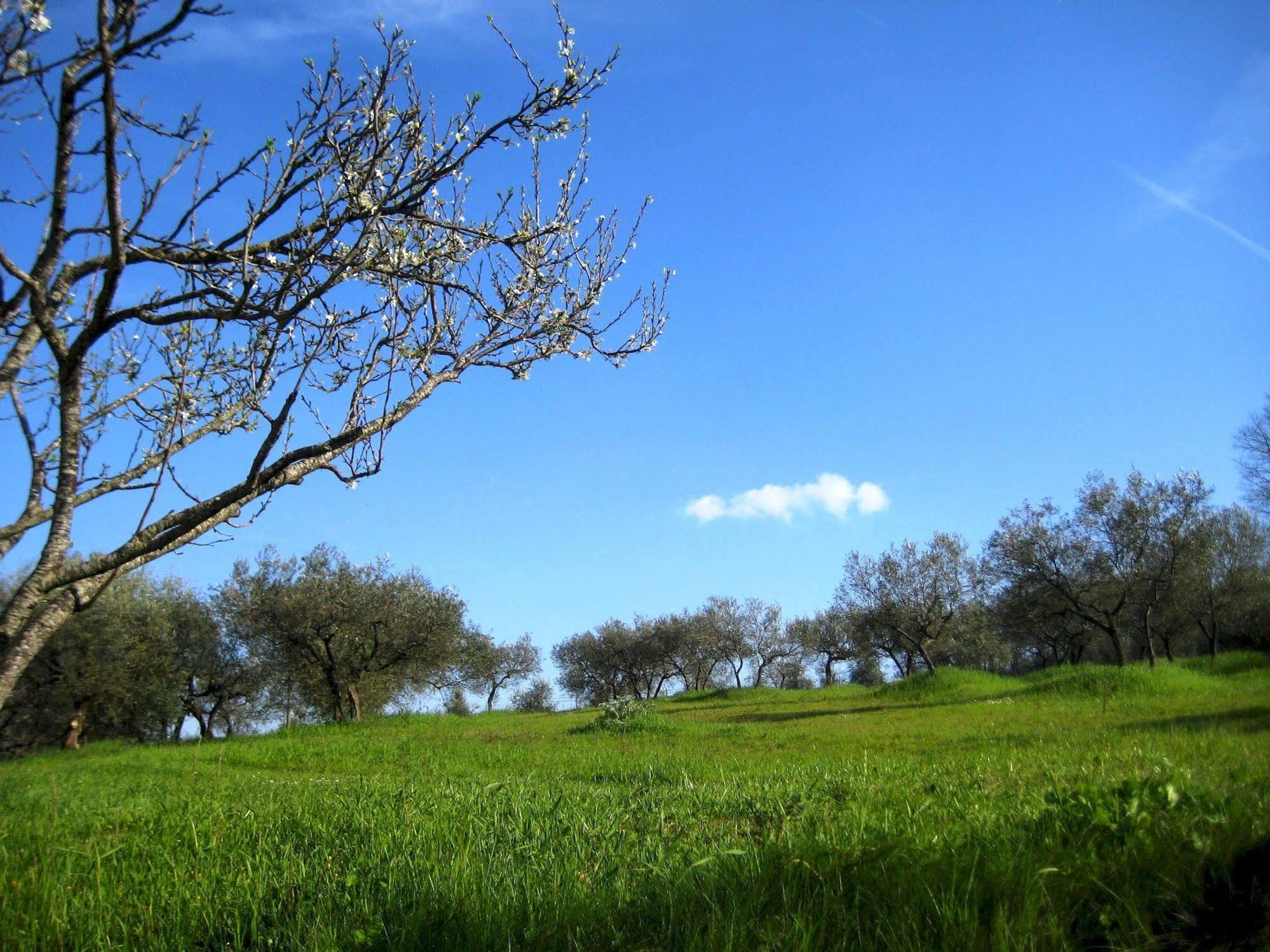 Limigiano Villa Colle Di Rocco מראה חיצוני תמונה